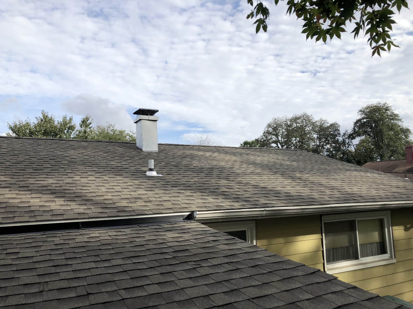 American Home Specialists project photo